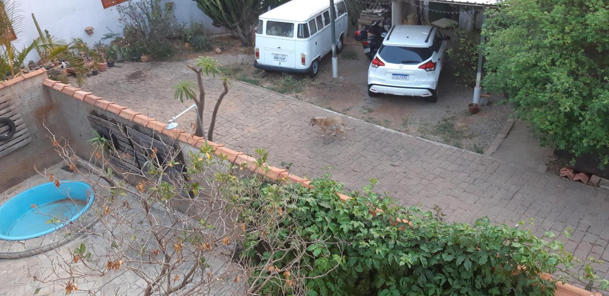 Chácara Famille Brun Apartamento São João da Boa Vista Exterior foto